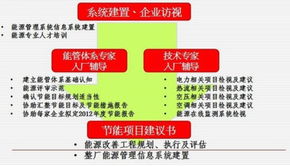 数字赋能，智绘菜乡 环球软件以数字科技驱动智慧寿光建设新篇章